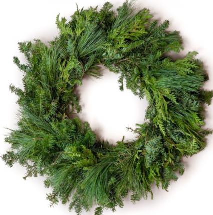 Fresh Mixed Evergreen 36