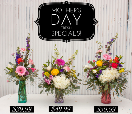 Fresh Mothers Day Arrangement Fresh Flowers In Dixon Il Weeds