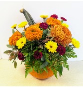 Fresh Pumpkin Arrangement NFS-A55