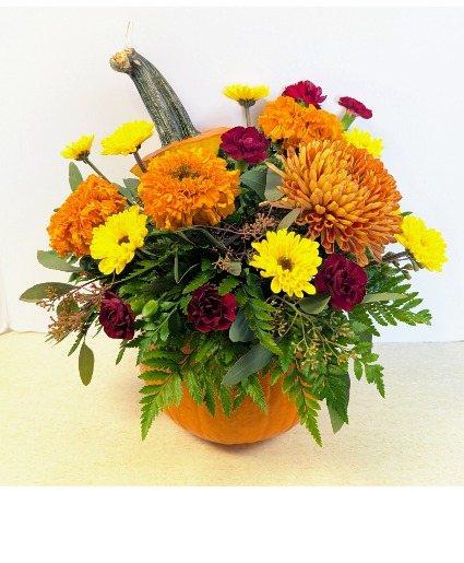 Fresh Pumpkin Arrangement NFS-A55