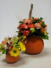 FRESH Harvest Pumpkin  Flower Arrangements