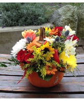 FRESH Harvest Pumpkin  Flower Arrangements in Delta, British Columbia | FLOWERS BEAUTIFUL