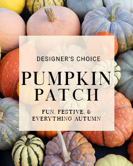 Fresh Pumpkin Design Fresh Flowers