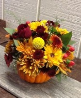 Fresh Pumpkin with fall blooms 