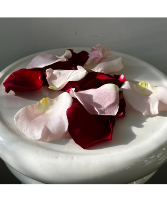 Fresh Rose Petals - Mixed Colour 