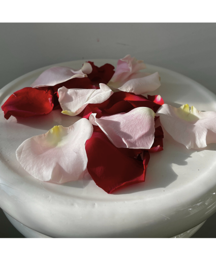 Fresh Rose Petals - Mixed Colour 