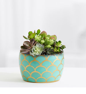Fresh & Safe Delivery in Orlando, FL | Artistic East Orlando Florist Fresh & Safe Delivery in Orlando, FL | Artistic East Orlando Florist