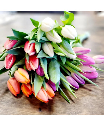 Fresh Tulips Bouquet in Saskatoon, SK | QUINN & KIM'S FLOWERS