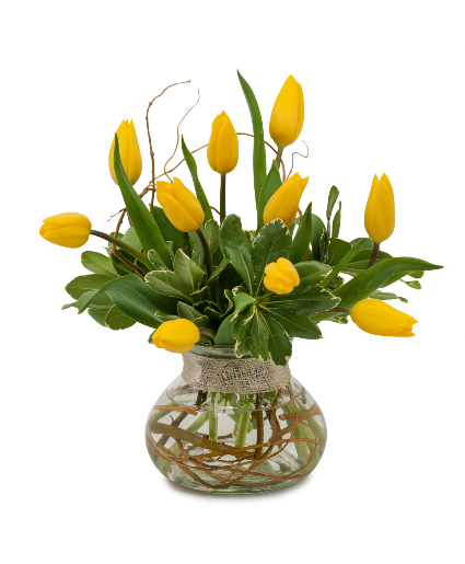 Freshly Squeezed Floral