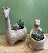 Friendly Animals planter with succulents