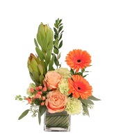 Friendly Sorbet Floral Design  in Charlotte, North Carolina | Flowers Plus
