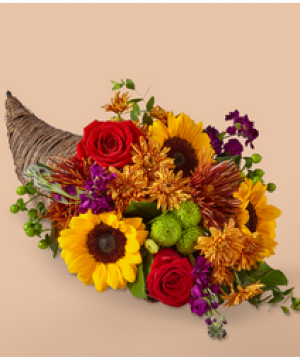 Autumn Sunrise Cornucopia  