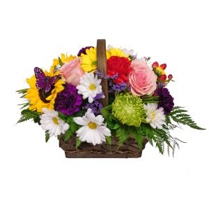 Friendship Basket flowers