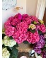 Pink Hydrangea Blooming Plant