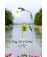 Frog Solar Stake Gift