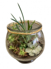 Frog Terrarium planter 