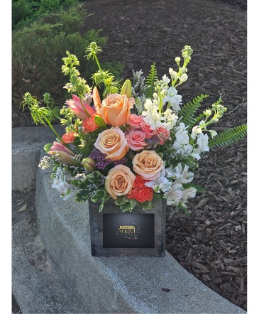 From the sky   in Huntingburg, IN | Erin's Events