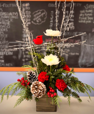 Frost & Feathers Christmas