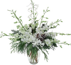 Frosted Orchids Orchids and Pinecones