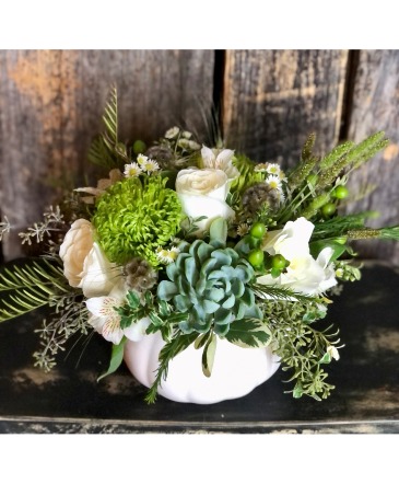 Frosted Pumpkin Mixed White and Green Florals in Oakland, TN | TWIGS-N-THINGS