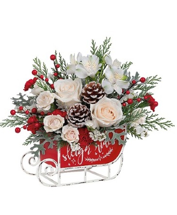 FROSTED SLEIGH Arrangement in Winnipeg, MB | Ann's Flowers & Gifts