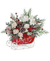 Frosted Sleigh Bouquet T22X310A by Teleflora