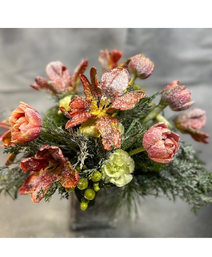 Frosted tulips  Compact European garden design 