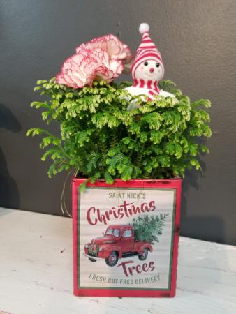 Frosty Fern Snowman