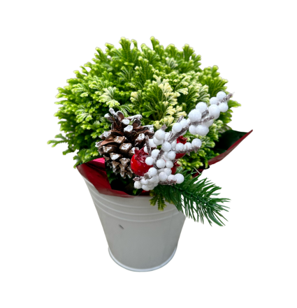 Frosty Ferns Decorative Holiday Planter