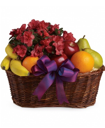 Fruit and Blooms - Wilsons Popular Choice  in Arlington, TX | Wilsons in Bloom
