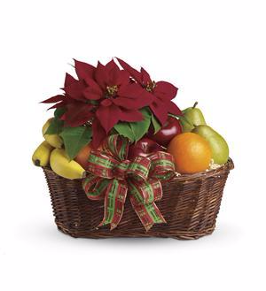 Fruit and Poinsettia Basket *24 hour notice required* in Portland, OR | Kern Park Flower Shoppe Fruit and Poinsettia Basket *24 hour notice required* in Portland, OR | Kern Park Flower Shoppe