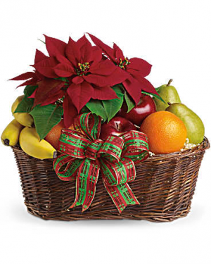 Fruit and Poinsettia Basket in Jasper, TX | BOBBIE'S BOKAY FLORIST Fruit and Poinsettia Basket in Jasper, TX | BOBBIE'S BOKAY FLORIST