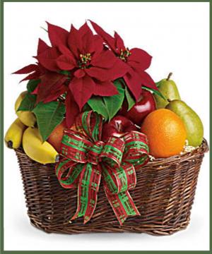 Fruit and Poinsettia Basket in Arlington, TX | Erinn's Creations Florist Fruit and Poinsettia Basket in Arlington, TX | Erinn's Creations Florist