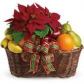 Fruit And Poinsettia Basket Christmas