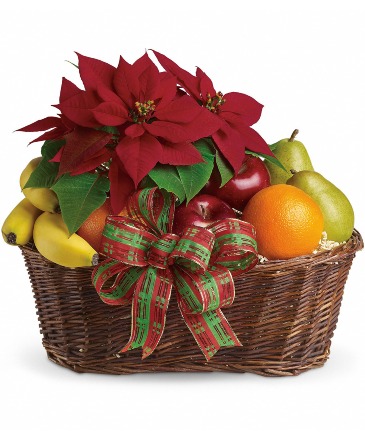 Fruit and Poinsettia Basket Gift and Plant Basket in Wellington, CO | Aesoph Flowers