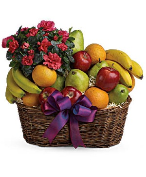 Fruit Basket Basket