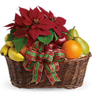 Fruit & Poinsettia Basket Gift Basket in Croton On Hudson, NY | Cooke's Little Shoppe Of Flowers Fruit & Poinsettia Basket Gift Basket in Croton On Hudson, NY | Cooke's Little Shoppe Of Flowers