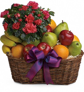 Fruits and Blooms Basket            T107-3 Fruit 