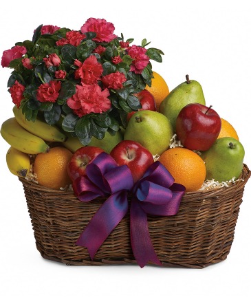 Fruits and Blooms Basket Fruit and Flowering Plant  in Wellington, CO | Aesoph Flowers