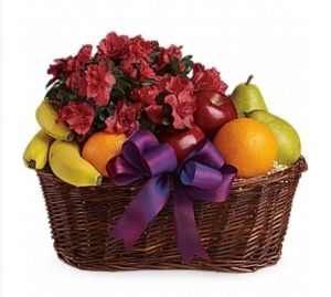 Fruits and blooms Basket with assorted fruit and potted blooming plant