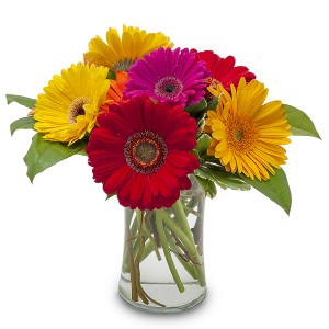 Fruity Arrangement