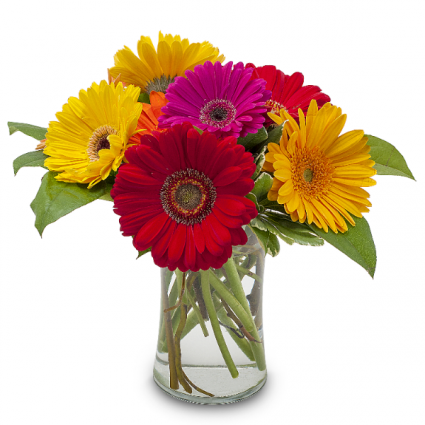 Fruity Arrangement