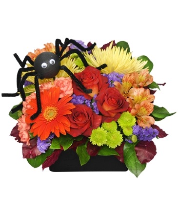 ALONG CAME A SPIDER Halloween Bouquet in Bluffton, IN | COUNTRY SQUIRE FLORIST INC.
