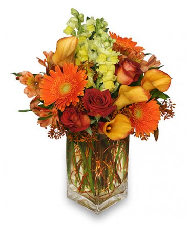 AUTUMN ADVENTURE Arrangement