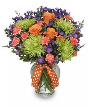 Bold Desire Floral Arrangement in Haddon Heights, NJ - Freshest Flowers