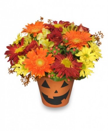 Bloomin' Jack-O-Lantern Halloween Flowers