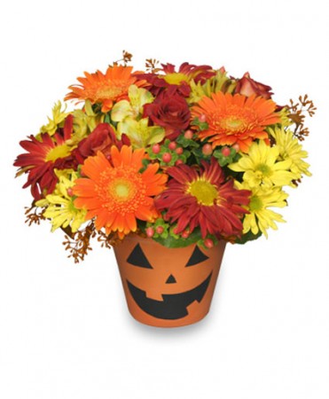 Bloomin' Jack-O-Lantern Halloween Flowers