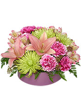 Pink Sherbert Floral Arrangement