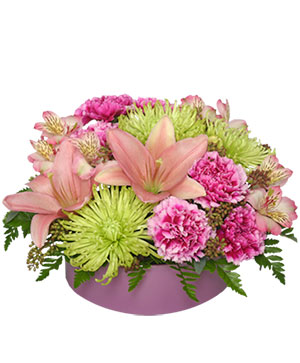 Pink Sherbert Floral Arrangement