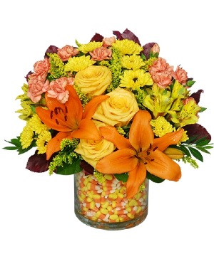 Candy Corn Halloween Bouquet in Janesville, WI | BARB'S ALL SEASONS FLOWERS